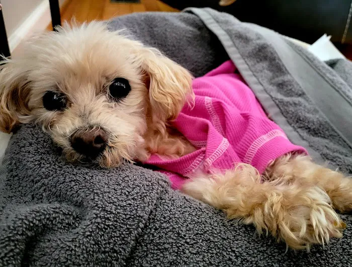 Taylor Animal Hospital 7