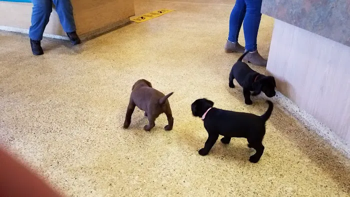 Animal Medical Center 12