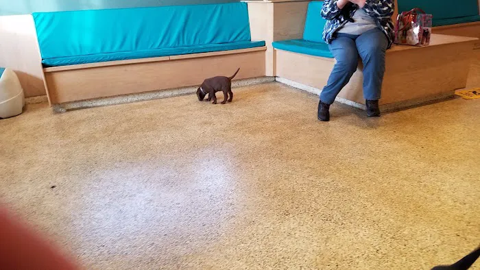 Animal Medical Center 12