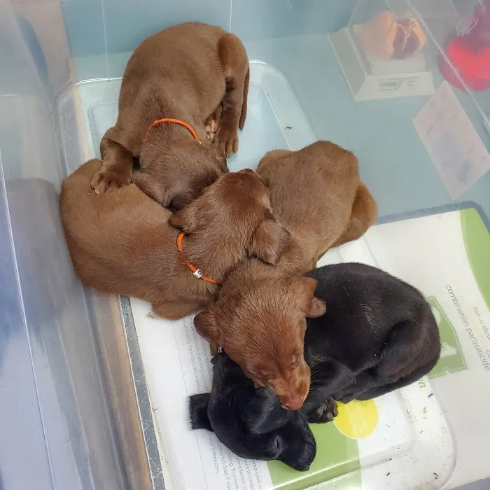 Animal Medical Center 12