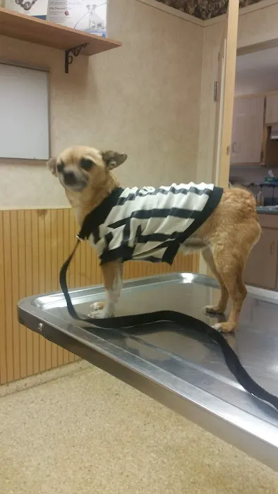 Animal Medical Center 12