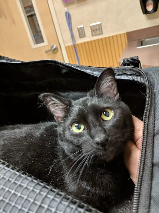 Animal Medical Center 12