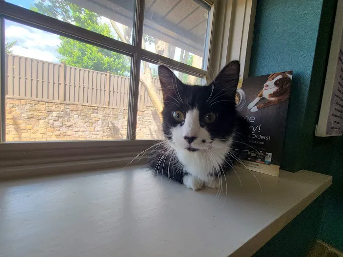 Animal Medical Center 12