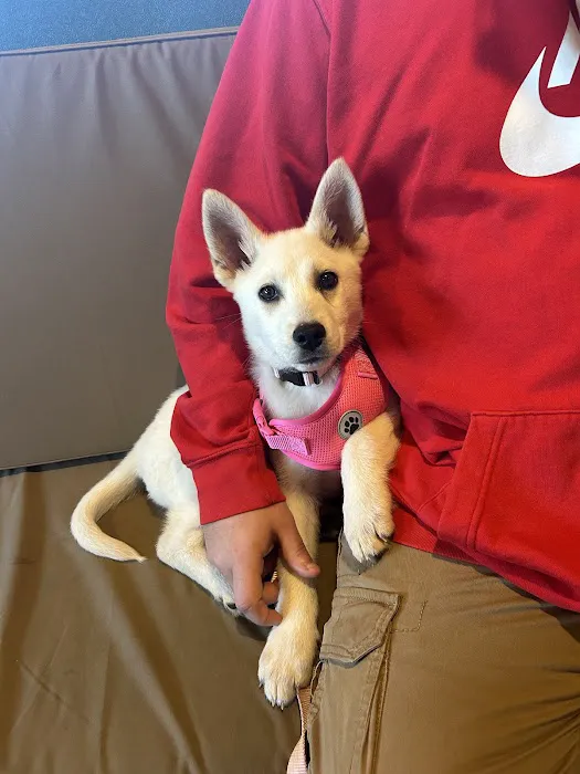 Animal Medical Center 12