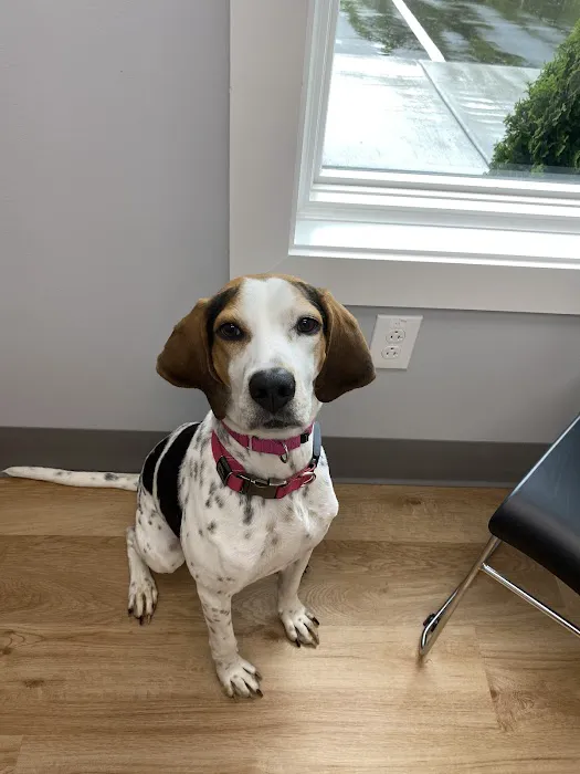 Creekside Veterinary Hospital 4