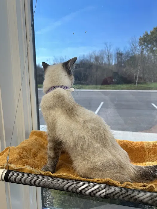 Creekside Veterinary Hospital 3