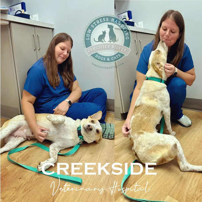 Creekside Veterinary Hospital 5