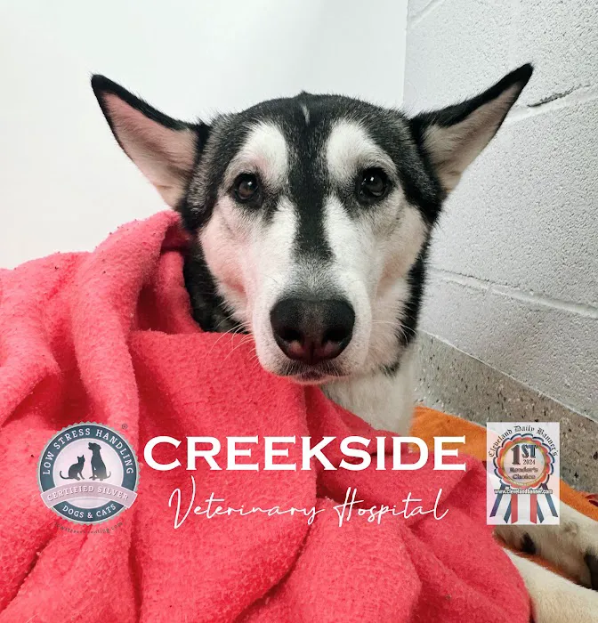 Creekside Veterinary Hospital 7