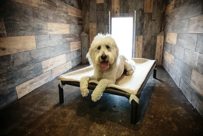 New Hope Pet Vet 12