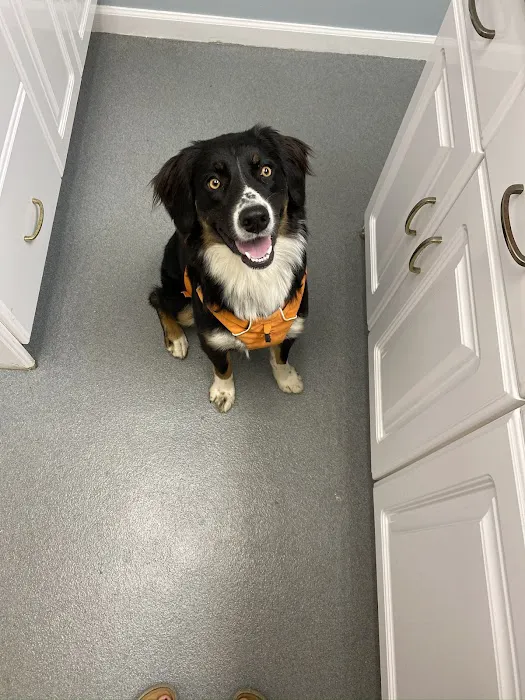 Mountainstone Veterinary Hospital 7