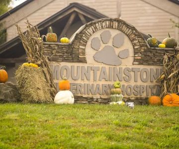 Mountainstone Veterinary Hospital