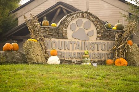 Mountainstone Veterinary Hospital