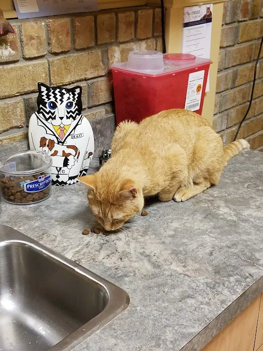 Mount Berry Animal Hospital 3