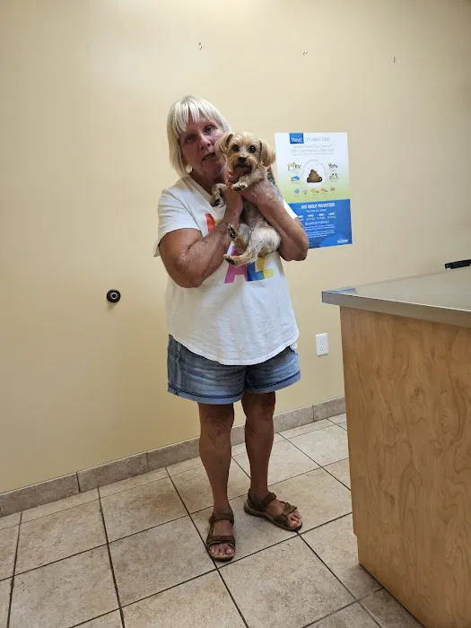 Mount Berry Animal Hospital 1
