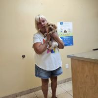 Mount Berry Animal Hospital ico