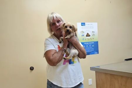 Mount Berry Animal Hospital