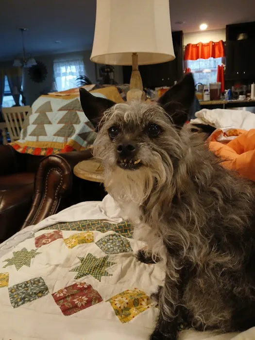 Mount Berry Animal Hospital 7