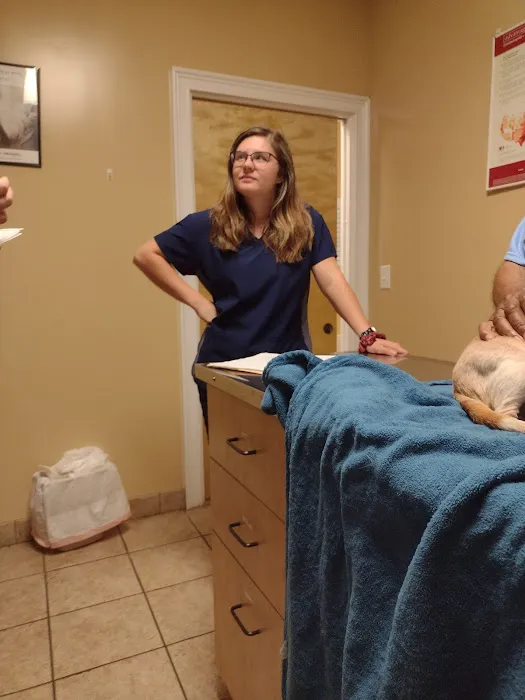 Mount Berry Animal Hospital 5