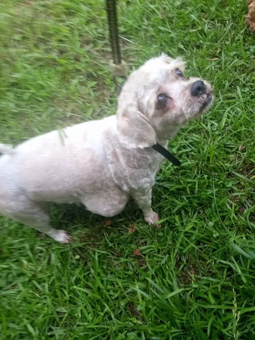 Fort Payne Animal Hospital 12