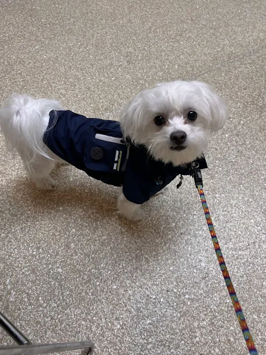 Fort Payne Animal Hospital 12