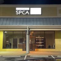 Norfolk SPCA Community Spay Neuter Clinic ico