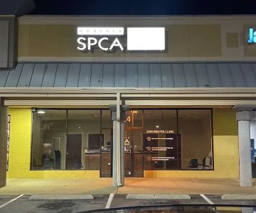 Norfolk SPCA Community Spay Neuter Clinic