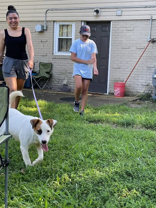 Norfolk SPCA Community Spay Neuter Clinic 6
