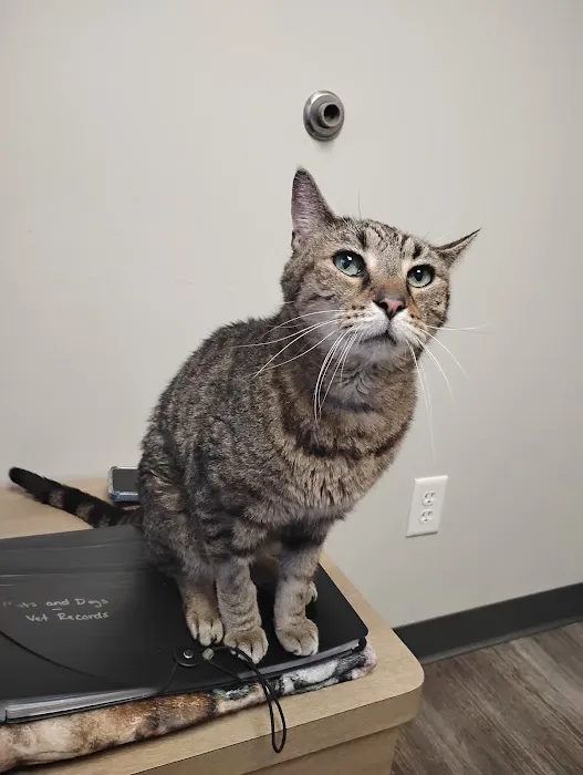 Midway Veterinary Hospital 5