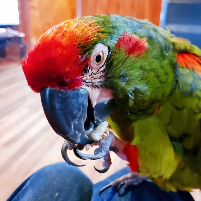 Midway Veterinary Hospital 7