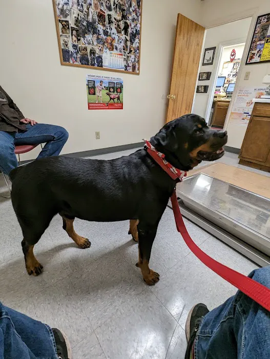 Bayview Veterinary Clinic 6