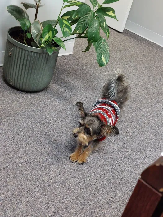 Carpenter-Pope Veterinary Hospital 6
