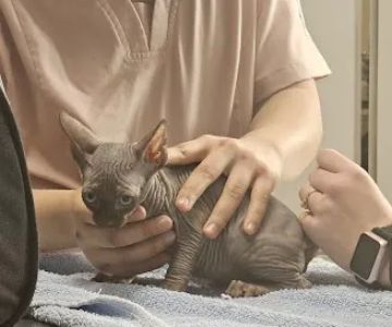 Carpenter-Pope Veterinary Hospital