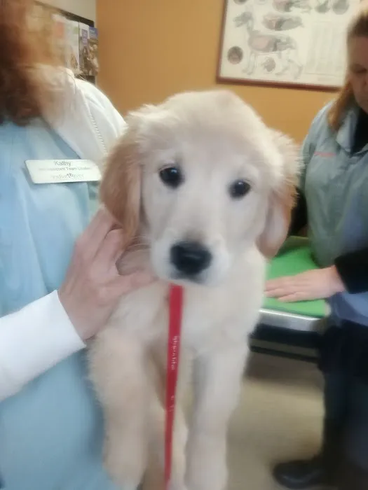 Indian River Veterinary Hospital 1