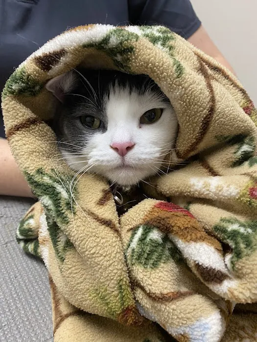 Indian River Veterinary Hospital 9
