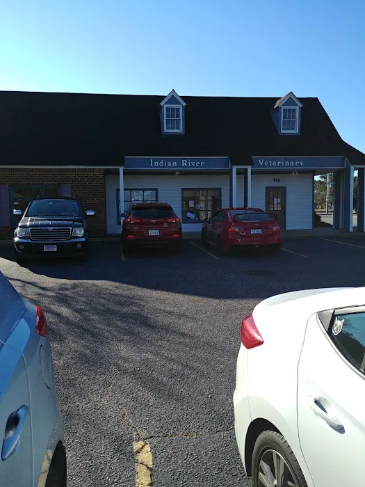 Indian River Veterinary Hospital 10