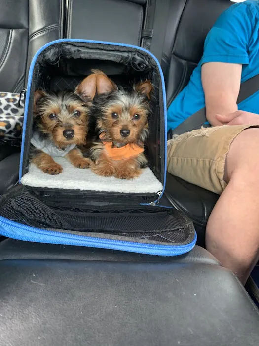 Pet Clinic at Woods Corner - Bruce Radomski DVM 9