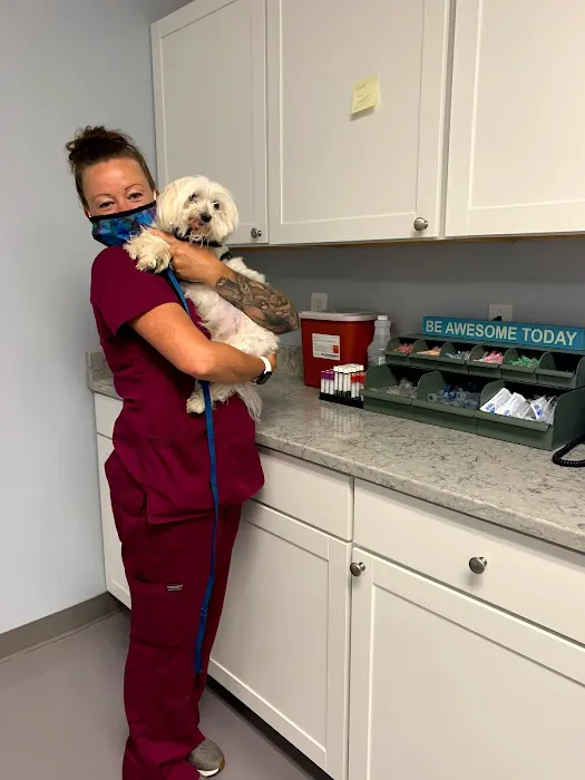 Acredale Animal Hospital 4