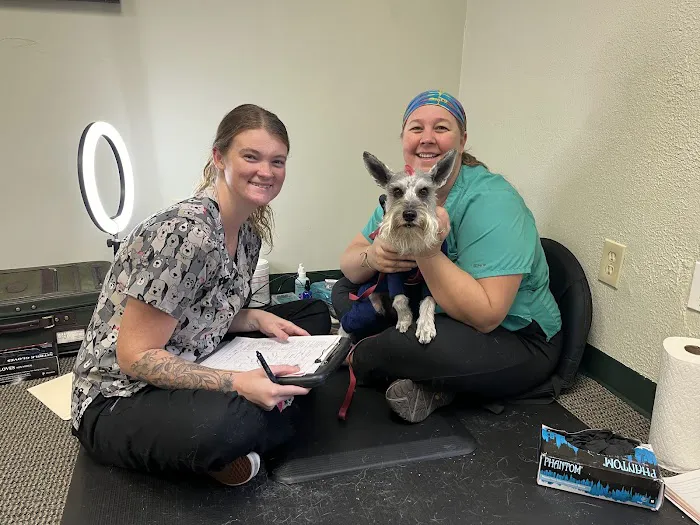 Center For Animal Healing 6