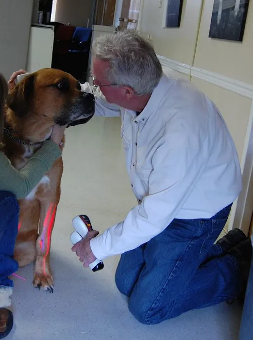 Center For Animal Healing 7