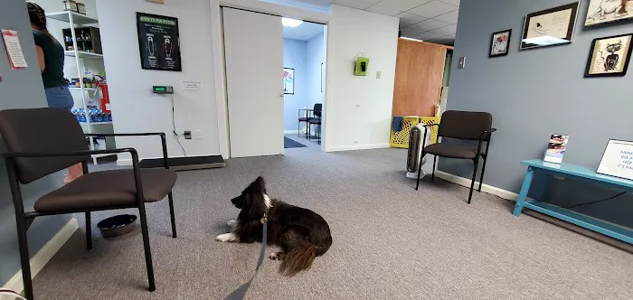 Center For Animal Healing 4