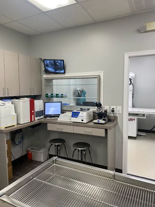 Ally Urgent Veterinary Care 5