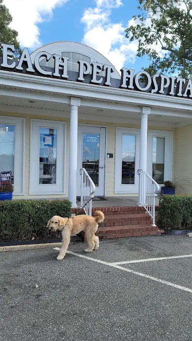 Beach Pet Hospital 12