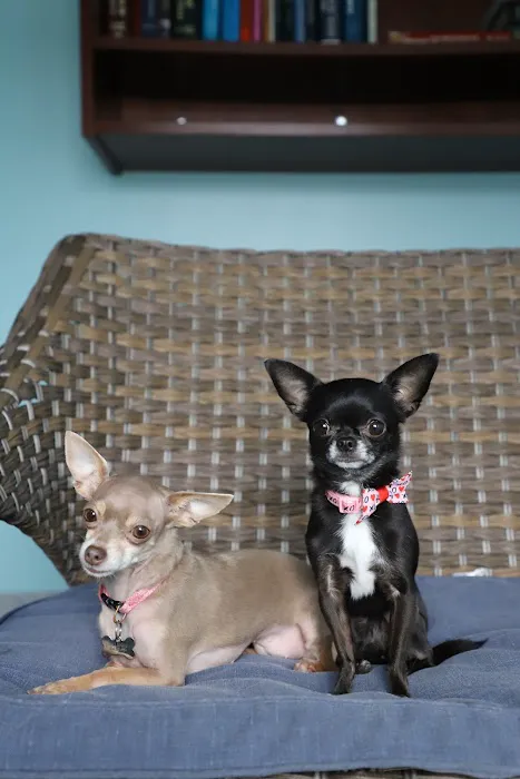 Beach Pet Hospital 12