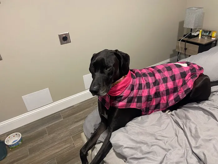 East Beach Veterinary Care 5