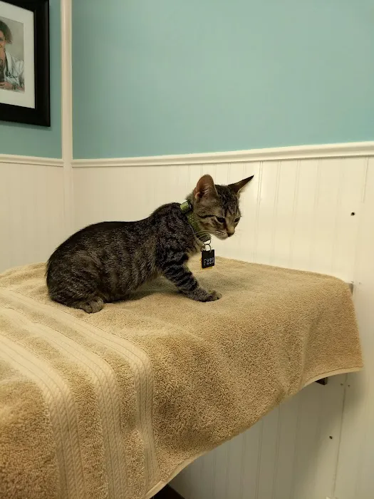 Great Neck Veterinary Clinic 1