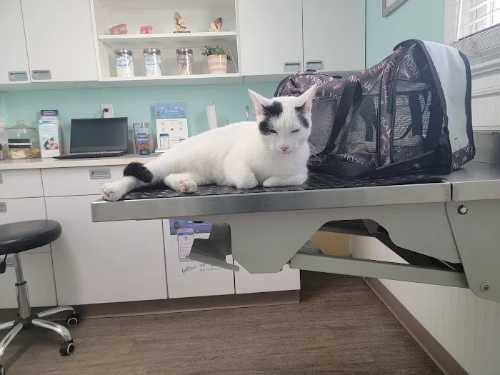 Great Neck Veterinary Clinic 8