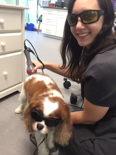 Great Neck Veterinary Clinic 7