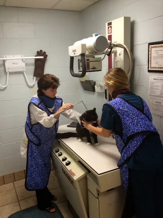 Vestridge Animal Clinic 12