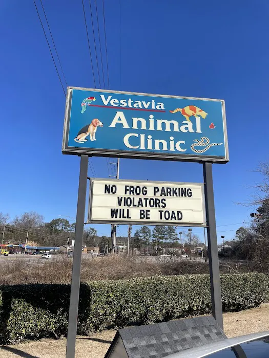 Vestavia Animal Clinic 10