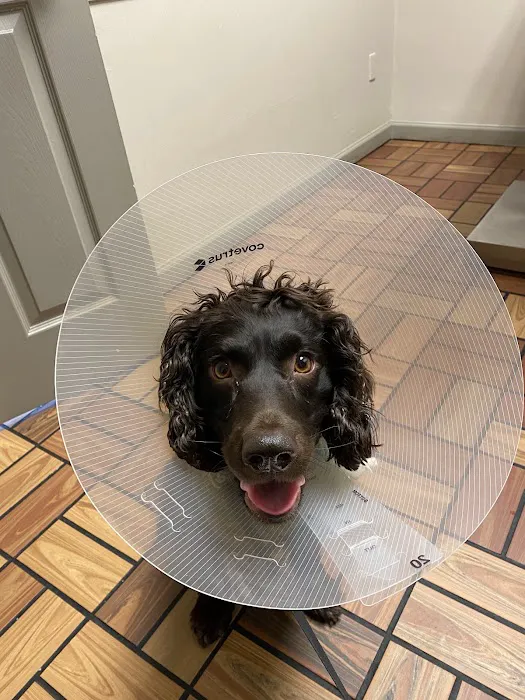 Vestavia Animal Clinic 6